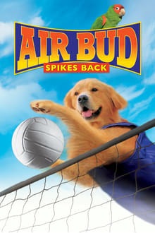 Airbud 5 : superstar