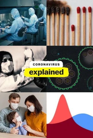 Le coronavirus, en bref